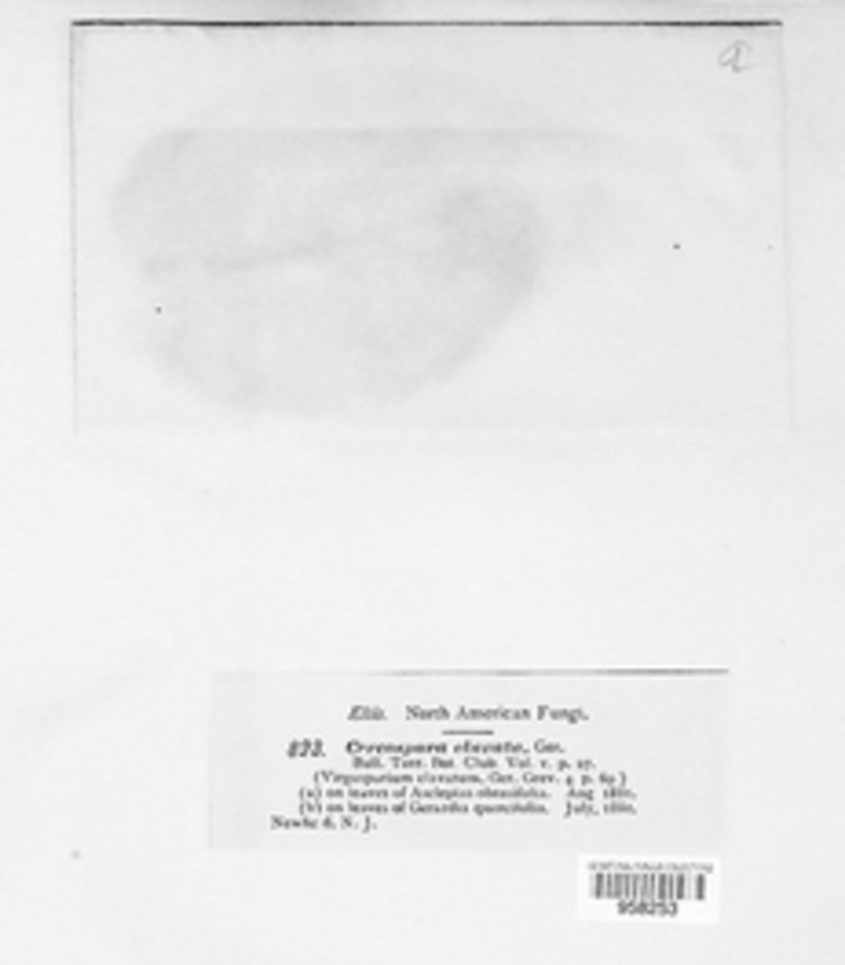Passalora clavata image